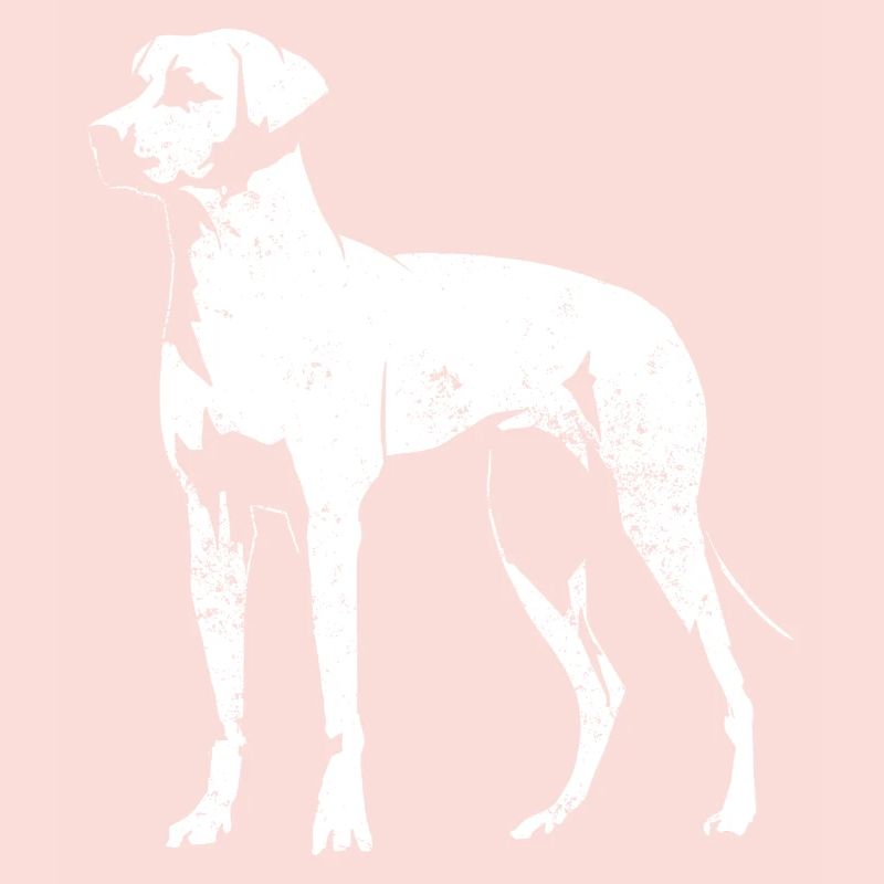 Rhodesian Ridgeback