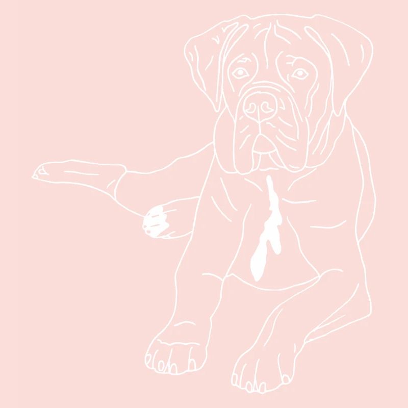 Cane Corso