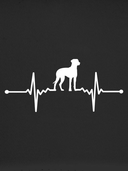 Rhodesian Ridgeback - Rhodesian Ridgeback