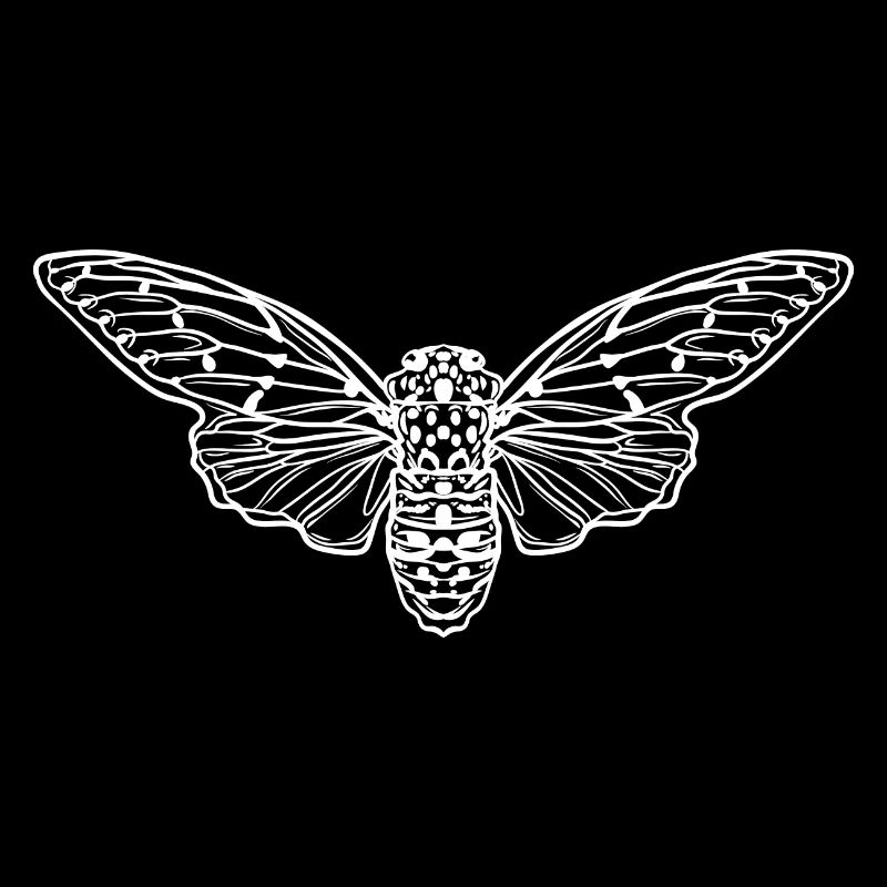 Cicada Minimalist