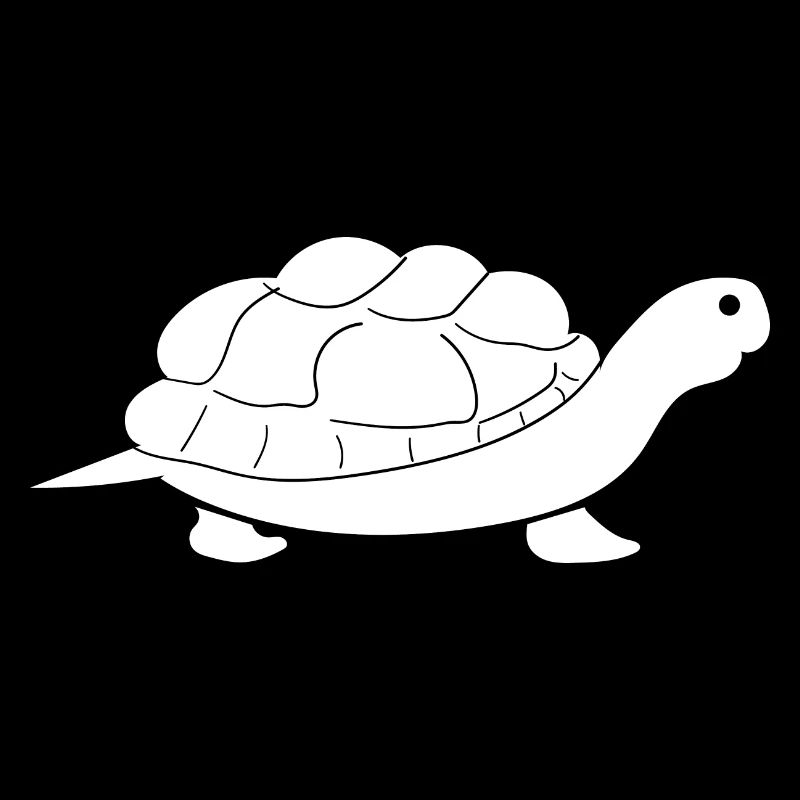 Turtle Turtle