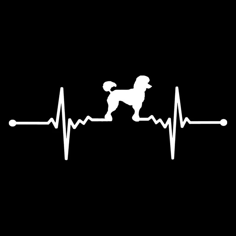 Poodle - Poodle