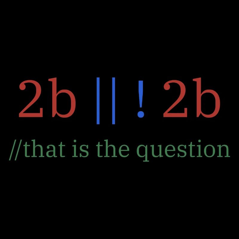 2b || !2b /To be or not to be/ Programmer