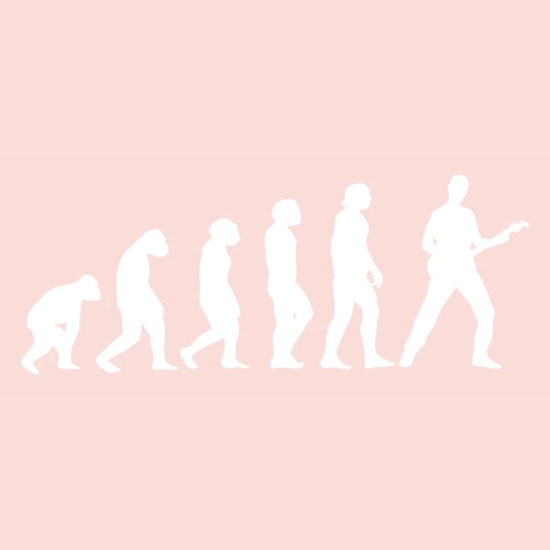 Évolution de la guitare