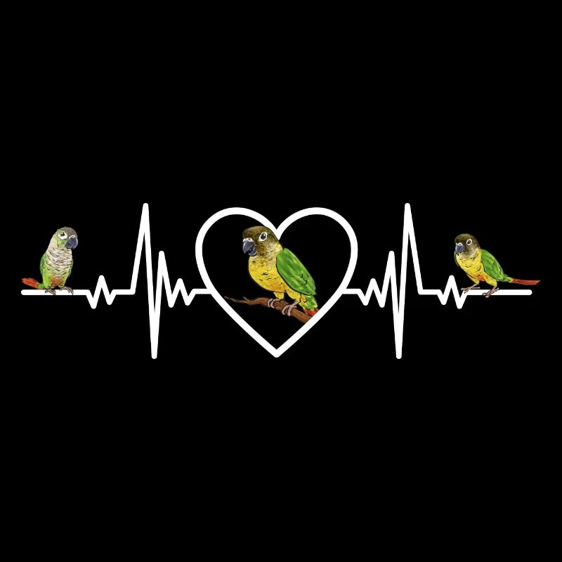 Molina Parakeet Parrot Bird Parakeet