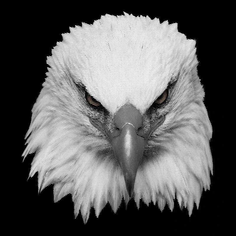 Great Eagle Kopf