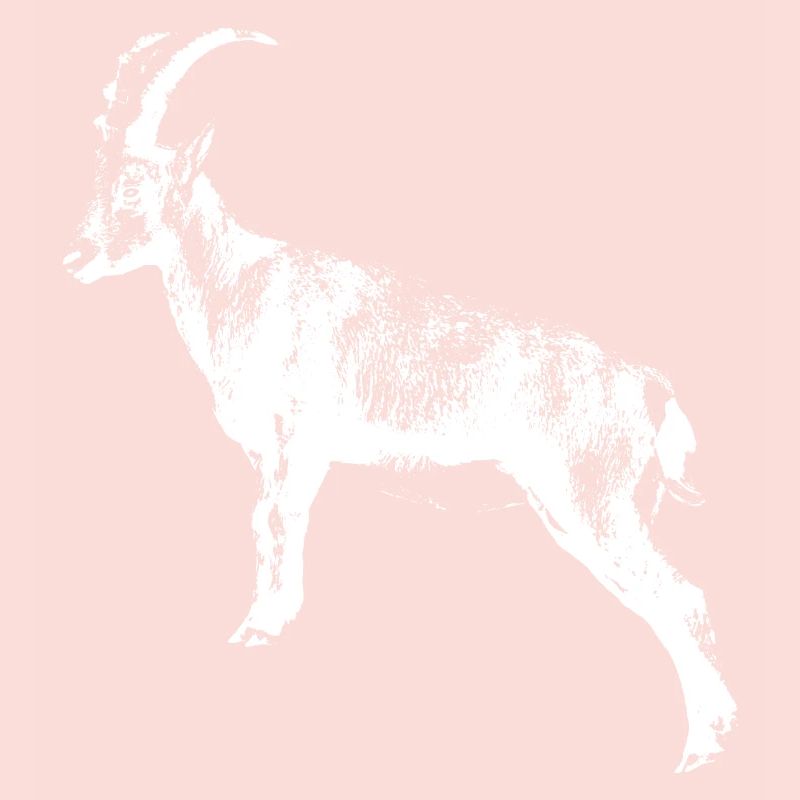 Steinbock
