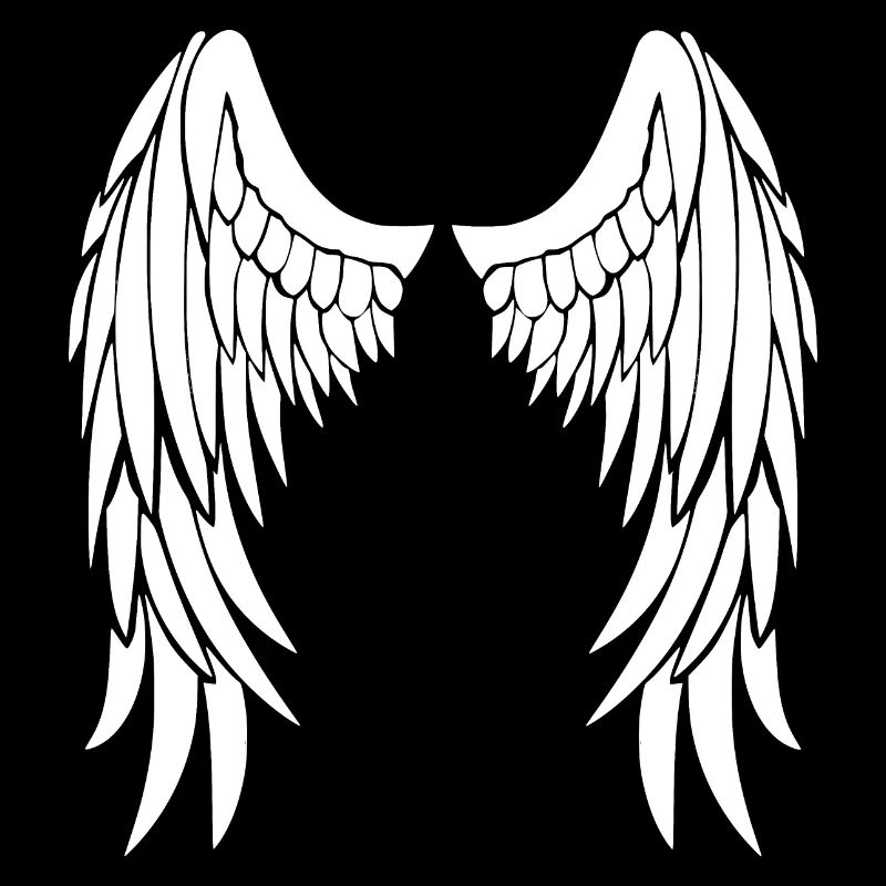 ailes d'anges