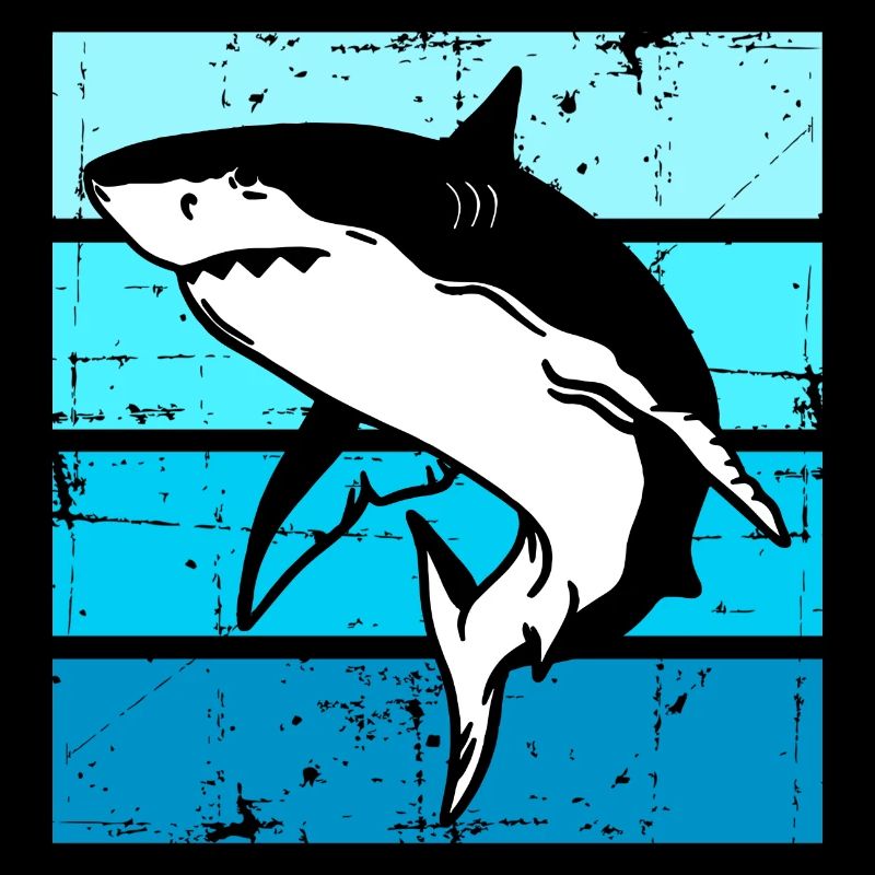 Requin Poisson Mer Océan Requin animal