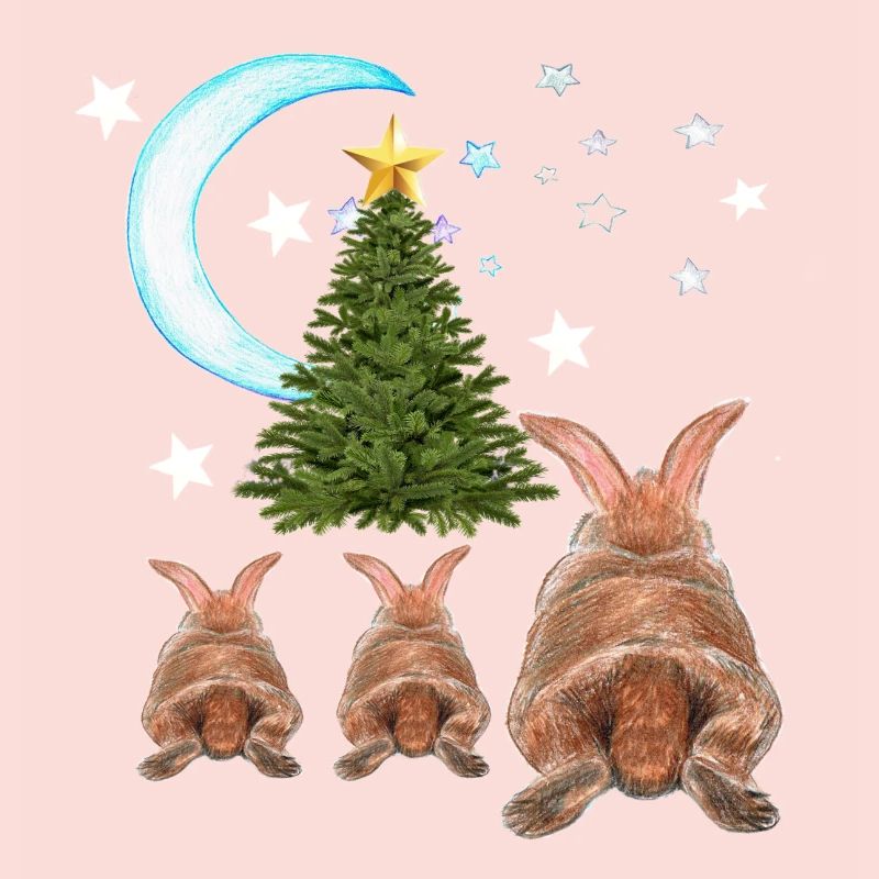 HASE , Noël