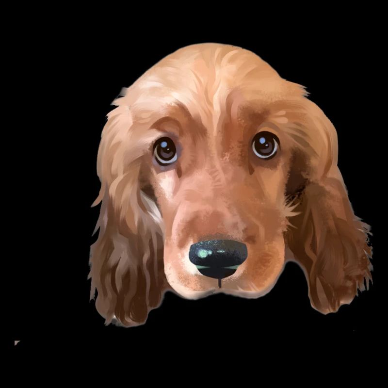 Chien Cocker Spaniel