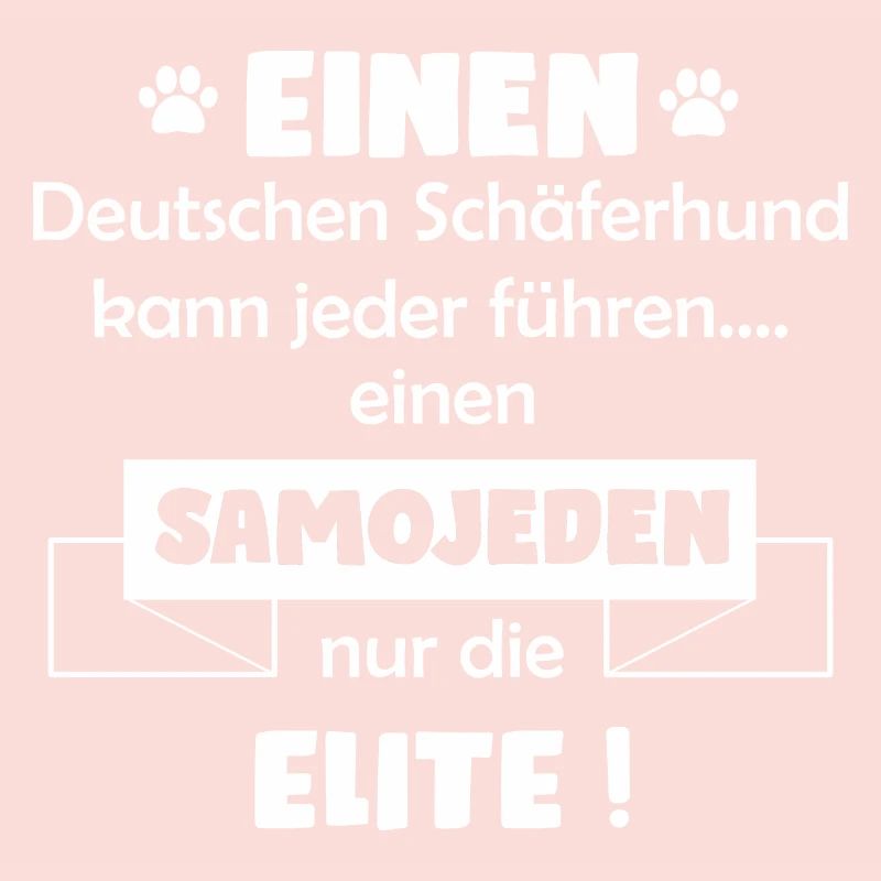 Samojeden Hund - Samojeden