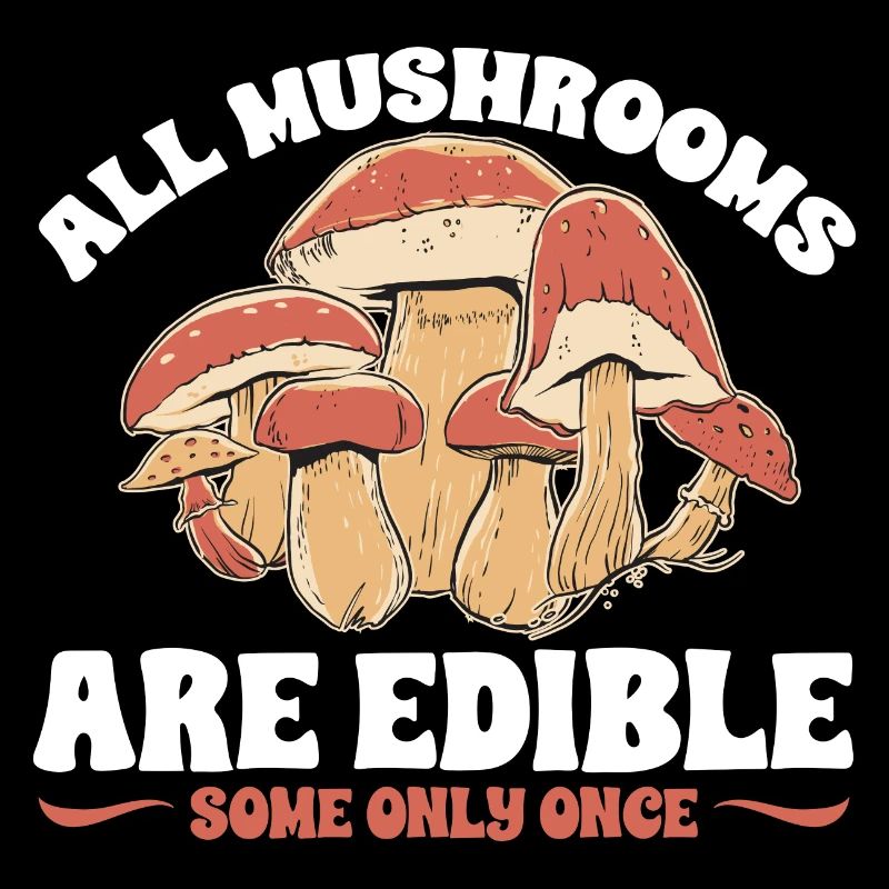 Cueillette de champignons Cueillette de champignons Cueillette de champignons