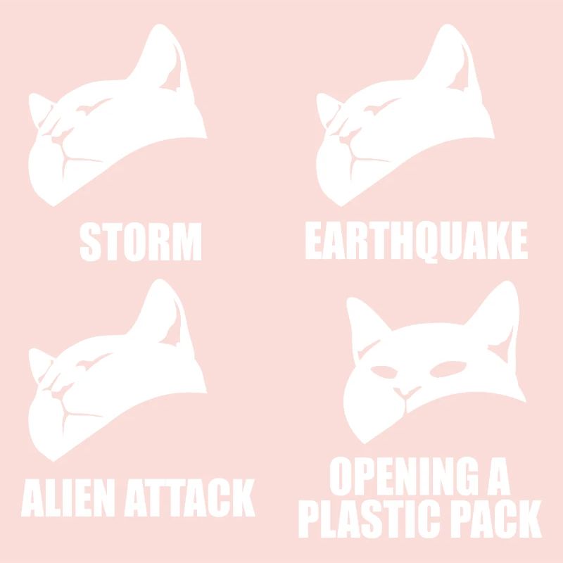 Chat - perception sélective - dire