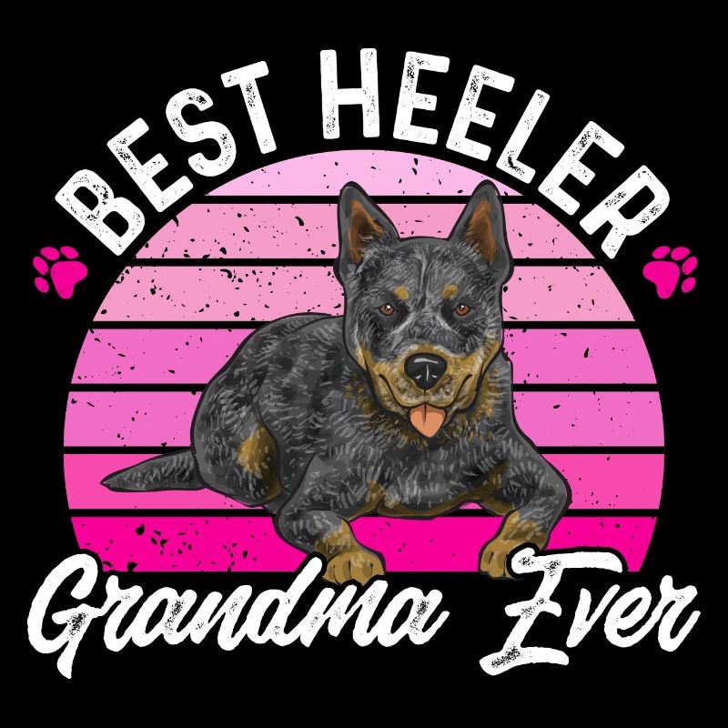Bouvier australien Red Blue Heeler