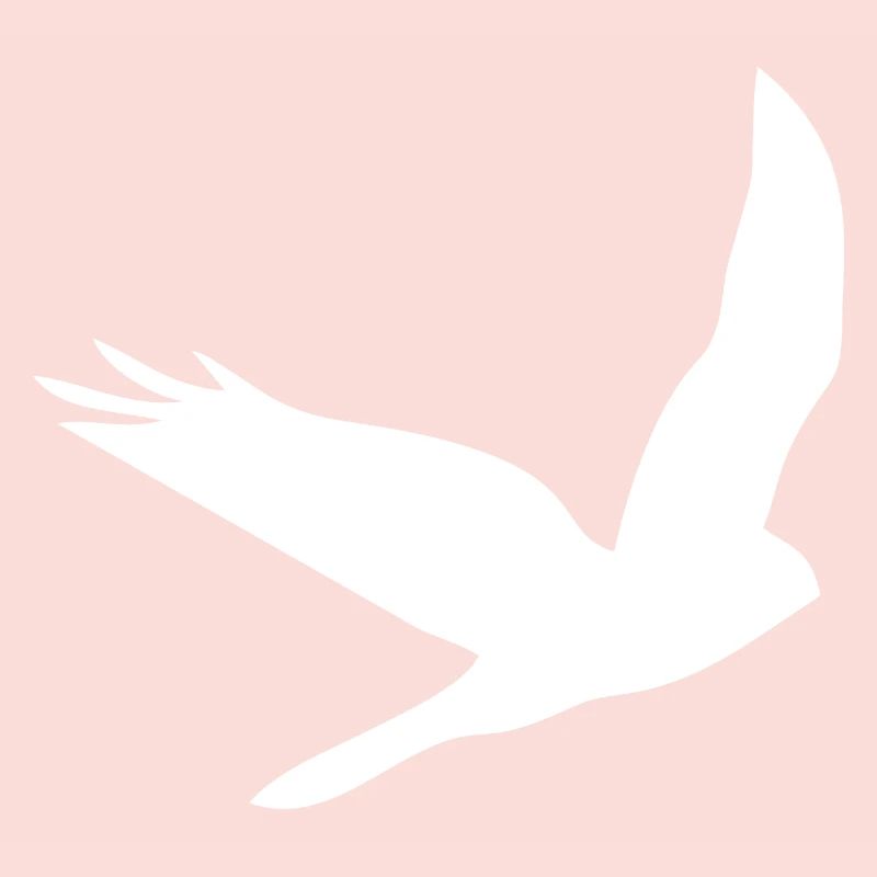 Bird Eagle Birds Fly