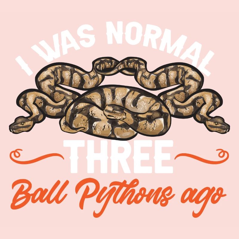 Ball Python Snake King Python