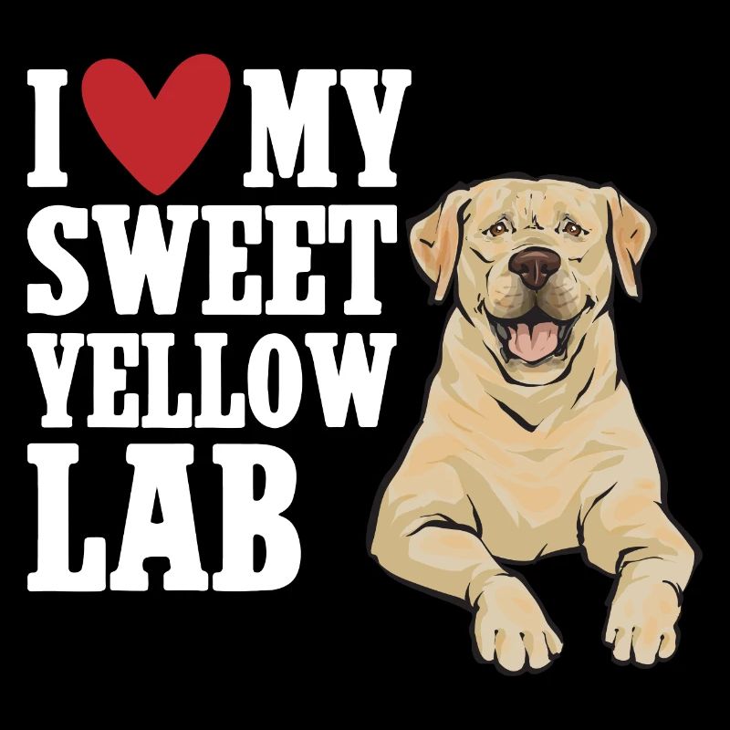 Labrador Retriever jaune