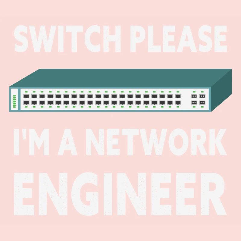 Switch Please I'm A Network Engineer IT Tech