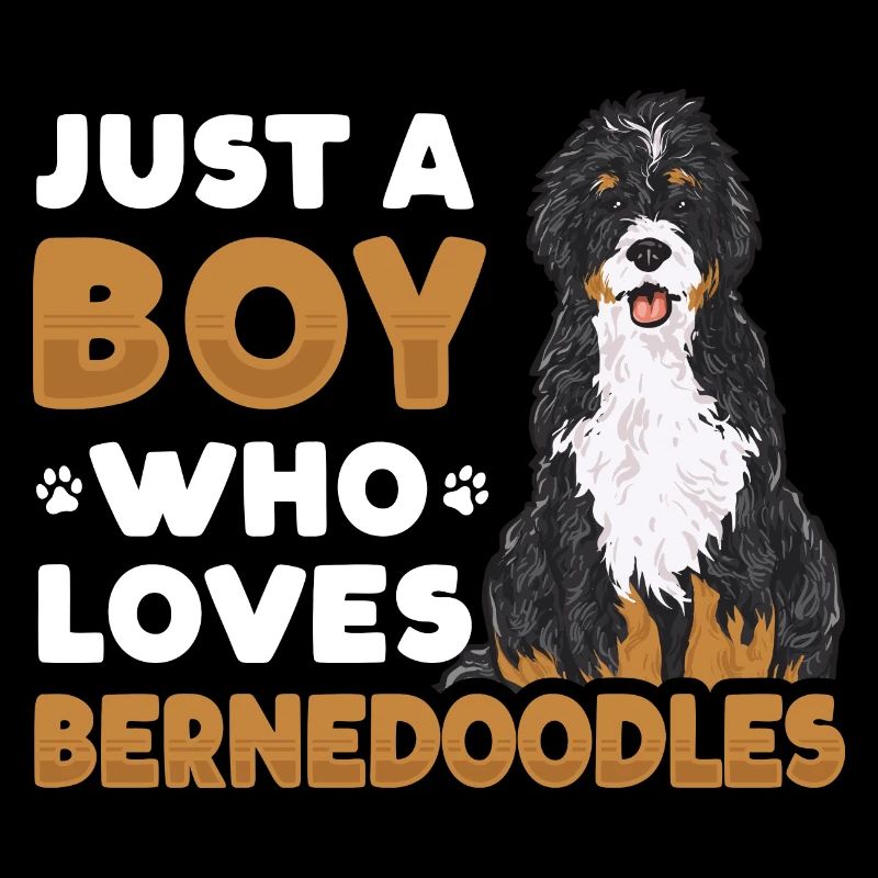 Bernedoodle Hund