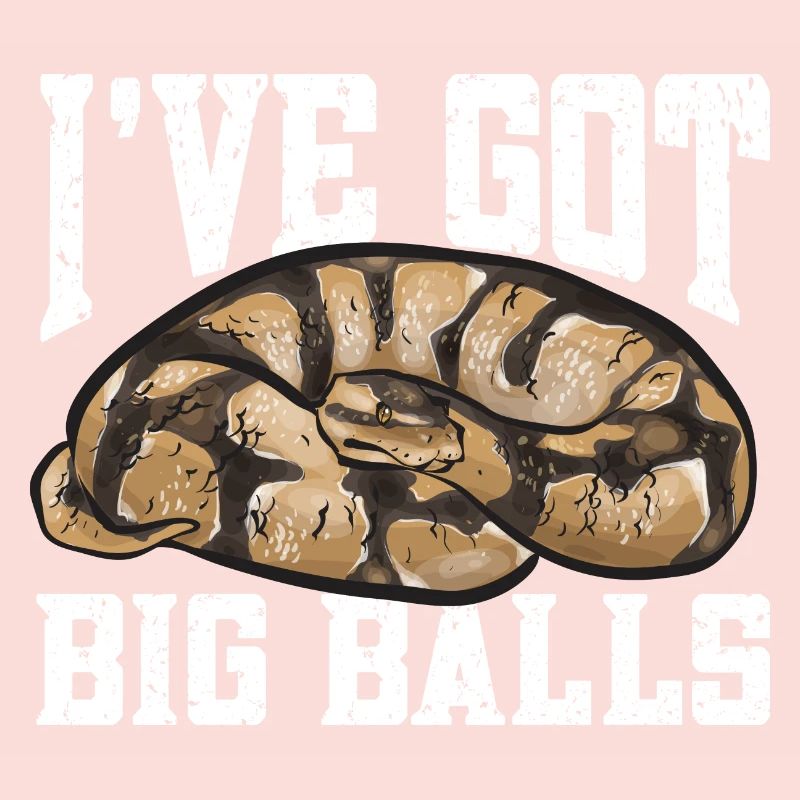 Ball Python Snake King Python