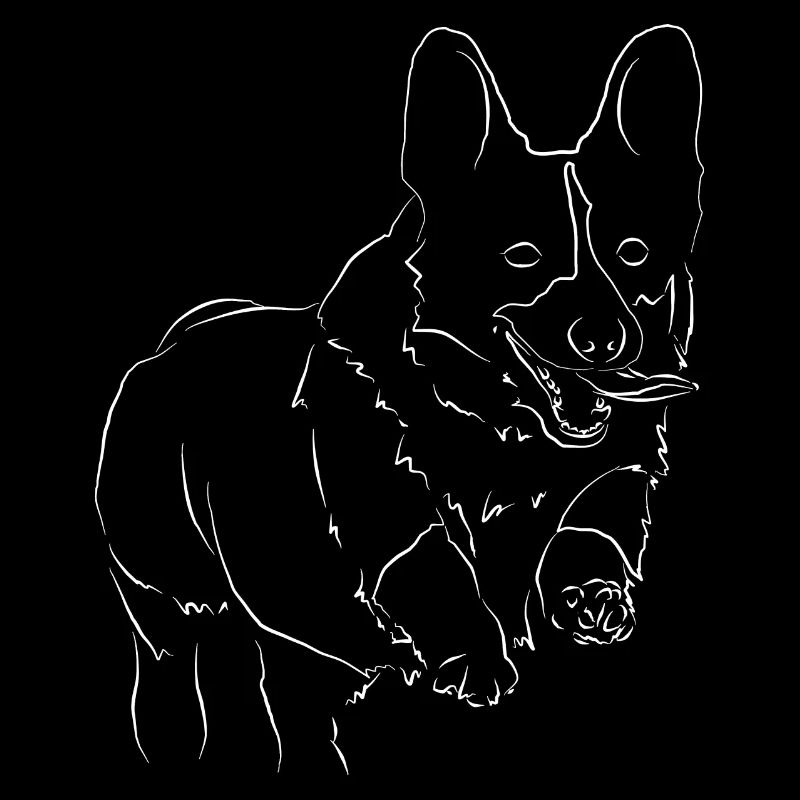 Welsh Corgi Pembroke dog