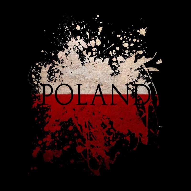 Drapeau pologne drapeau pologne