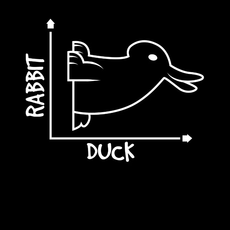 Optical Illusion Rabbit Duck