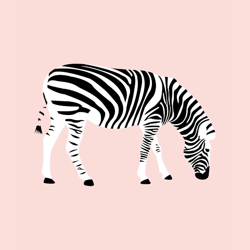 zebra