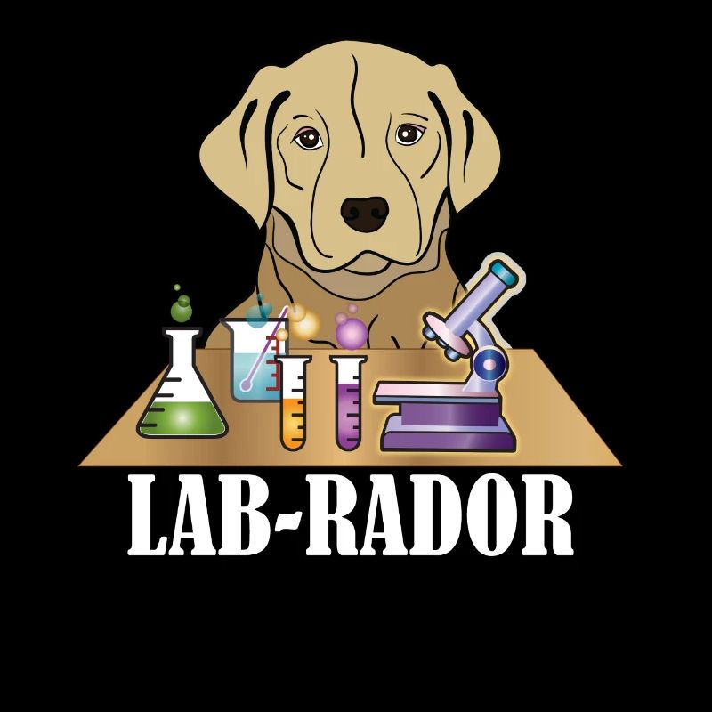 Jeu de mots Labrador