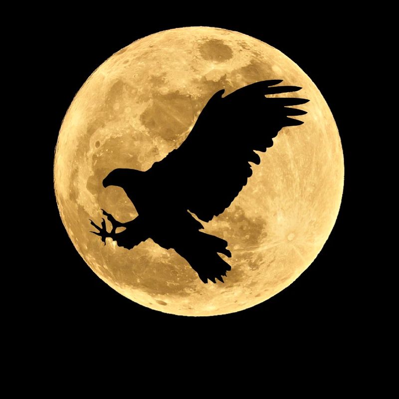 L’aigle dans la lune pleine lune