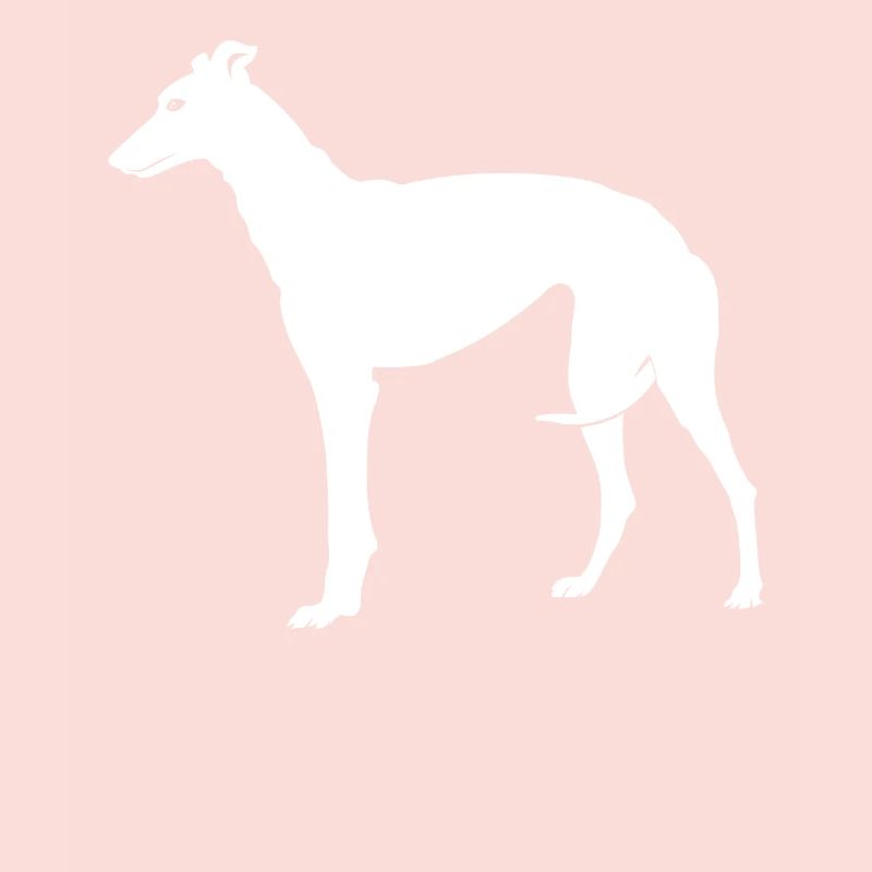 Greyhound Greyhound