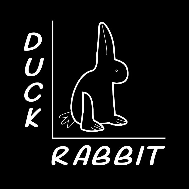 Duck bunny Optical illusion