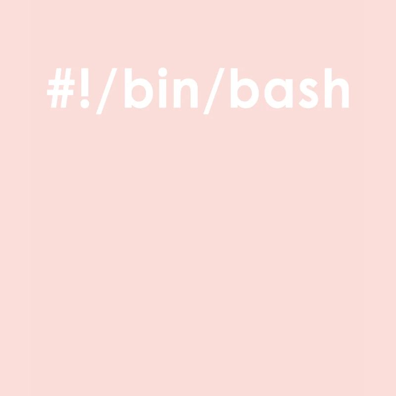 Programmeur Admin Devops Linux Bash
