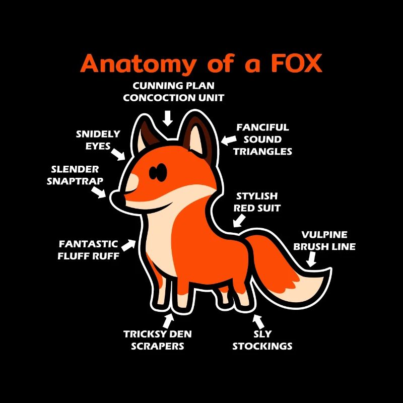Anatomie d'un renard