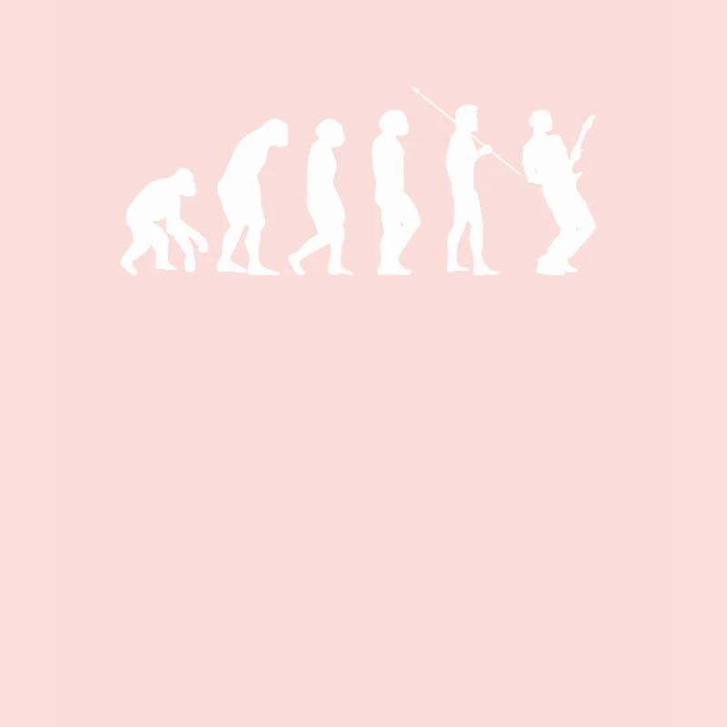 Guitare Guitar evolution Evolution