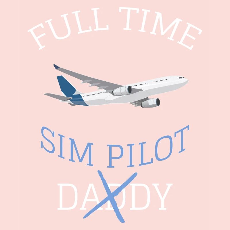 Flight Simulator Simmer Simulation MSFS Gift