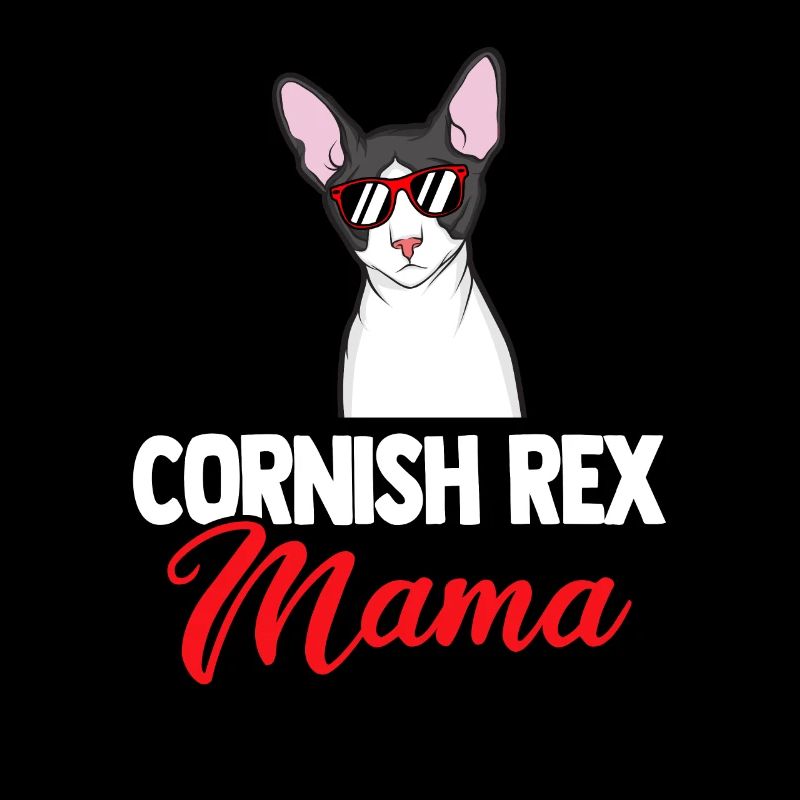 Cornish Rex Mama Papa Chat Maman | Rex de Cornouailles