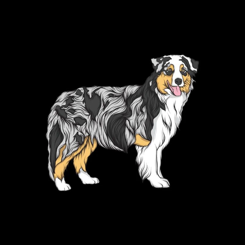 Australian Shepherd