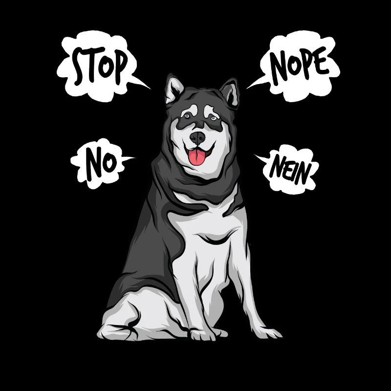 Alaska Malamute Husky Chien