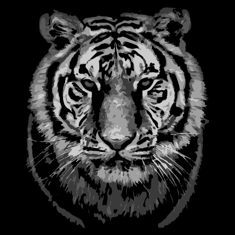 Tiger - Tiger head black white
