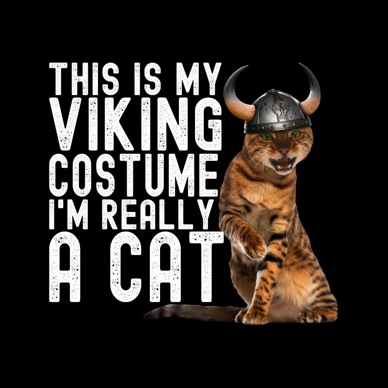 Chat Viking