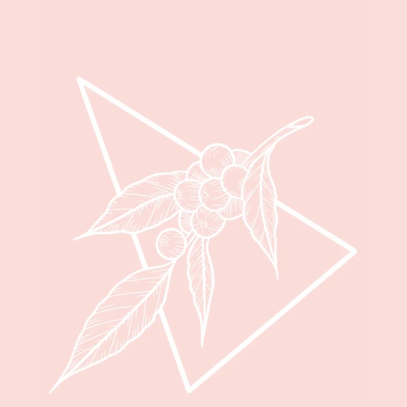 Berry Triangle