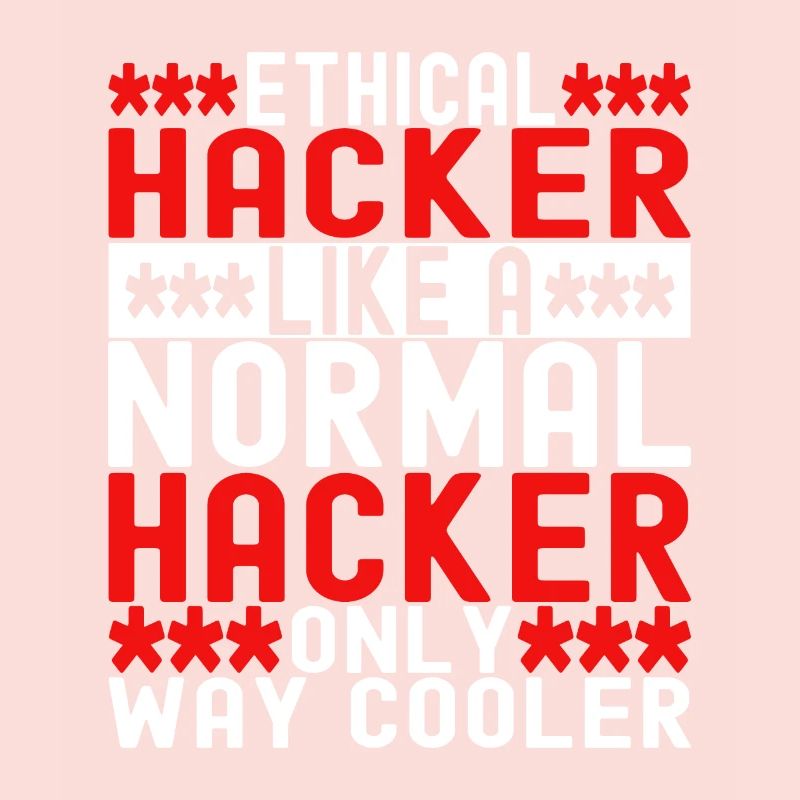 Programmer Cyber Security