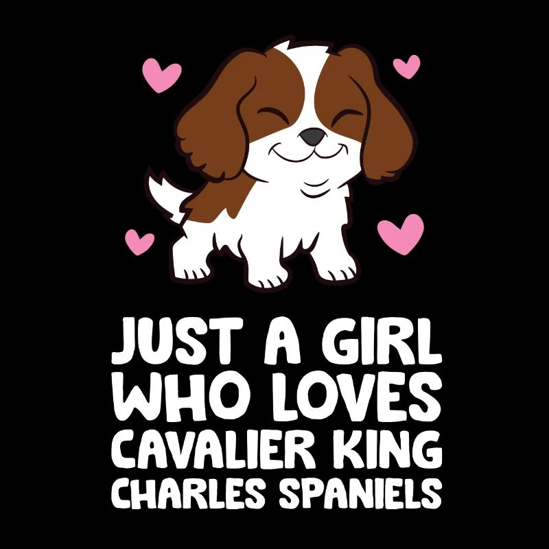Nur ein Mädchen, das Cavalier King Charles