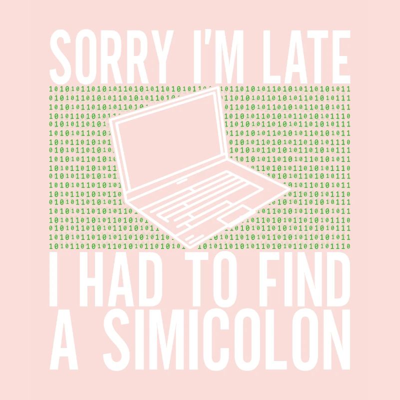 Programmer Computer Scientist