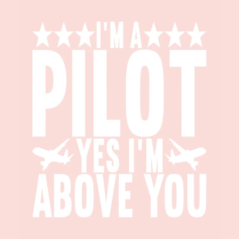 Pilot Flugzeug