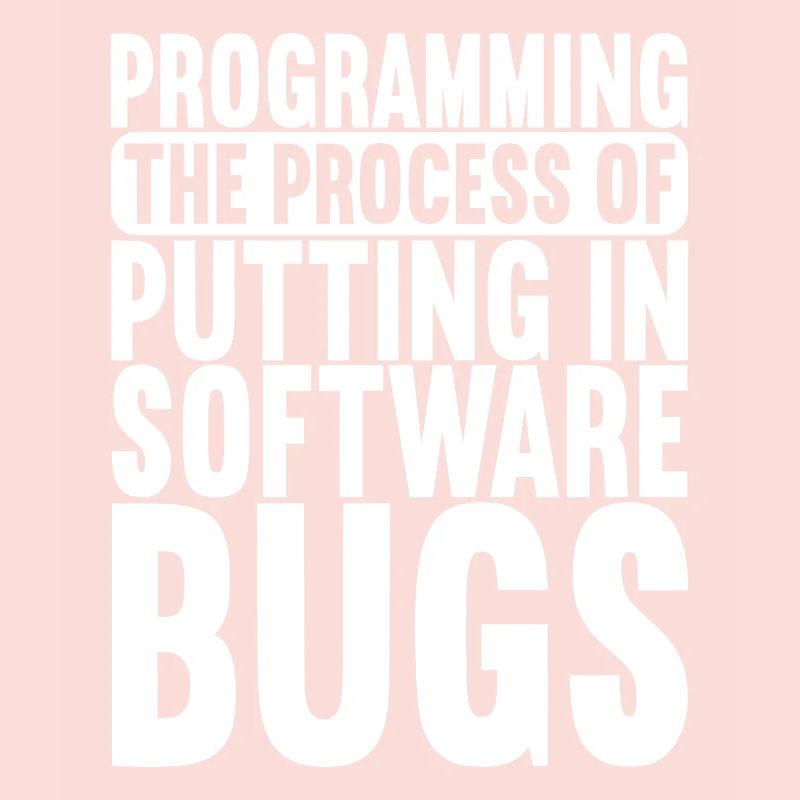 Programmeur Informaticien