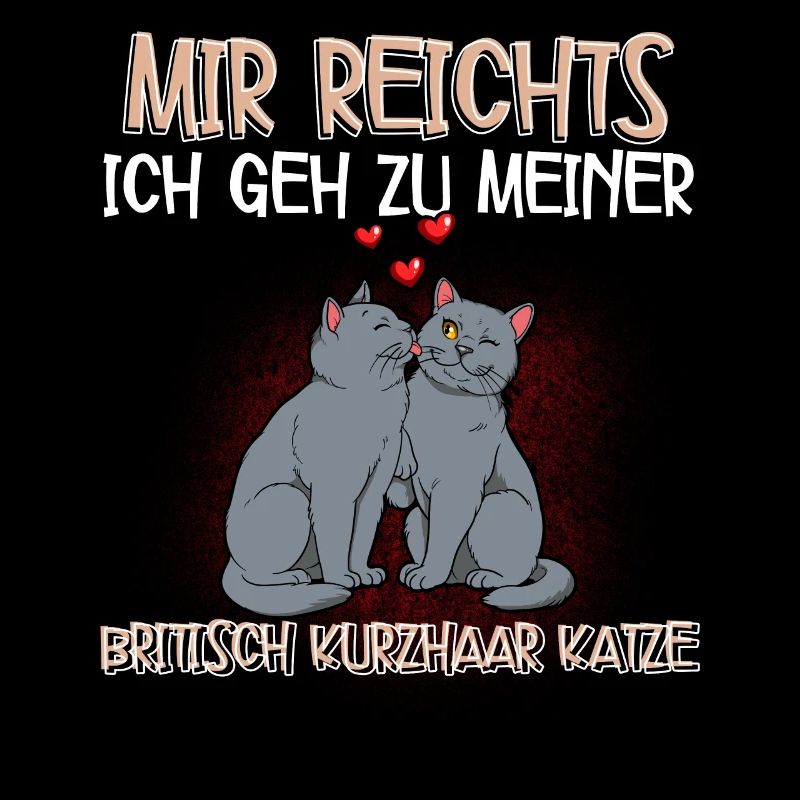 Britisch Kurzhaar Katze