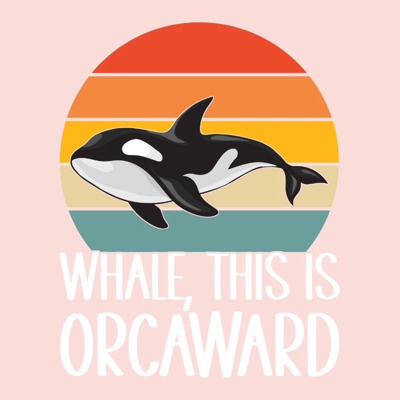Wale Walbeobachter Orca